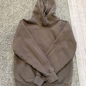 Aritzia Brown Hoodie